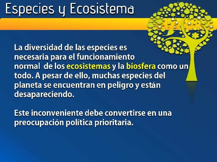 Informe Brundtland Pdf